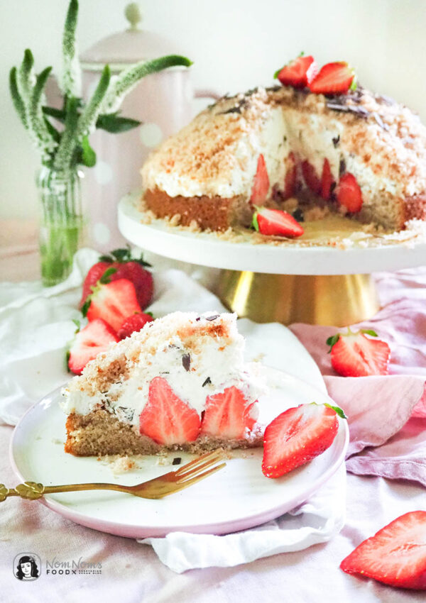 Erdbeer-Maulwurfkuchen